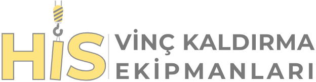 WİELTRA 6 Hareket Çift Hızlı Uzaktan Kumanda Takımı 220V | HİS Vinç
